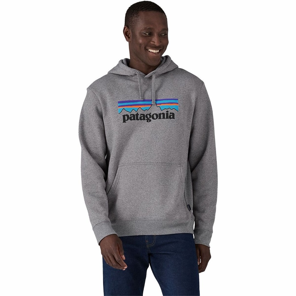 Patagonia Gray Hoodie with Blue and Red Accents